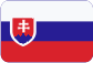 Czech Infonet, spol. s r.o. Slovensky